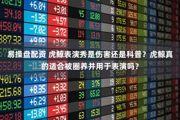 易操盘配资 虎鲸表演秀是伤害还是科普？虎鲸真的适合被圈养并用于表演吗？